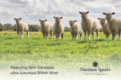 An image for Harrison Spinks British Wool Pocket Spring Pillow