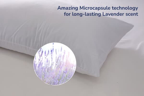 An image for Head2Sleep® Lavender Scented Pillow Pair