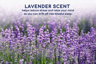 An image for Head2Sleep® Lavender Scented Pillow Pair
