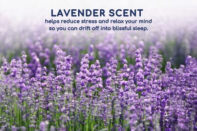An image for Head2Sleep® Lavender Scented Pillow Pair