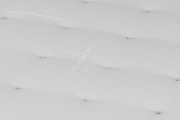 An image for Shire Bed Company Ortho Backcare Mattress + Ottoman Divan Bed