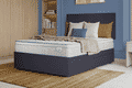 Sealy Select Plus Extra Firm Mattress
