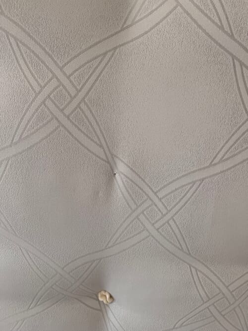 A customer photo for Sealy Ortho Plus Bronze Mattress - Mattress delivered to my home was broken, but nobody take the lability for repla. Author: Ming Chu Leung. Dated: 2023-07-02