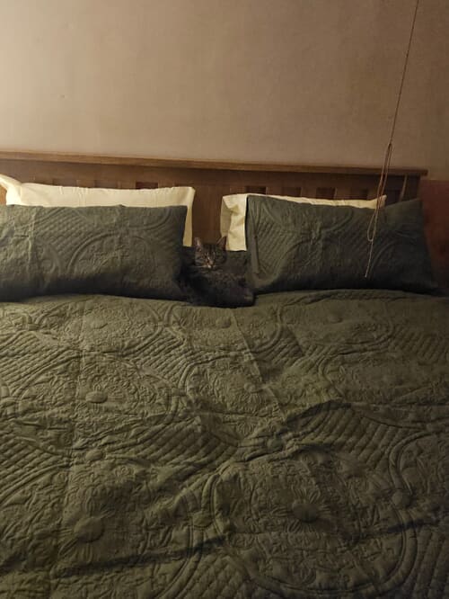 A customer photo for Highgrove Rowley Ortho 1000 Pocket Natural Mattress - Its big, deep, fits our bedframe and it feels so different (better) than the ver. Author: Kps. Dated: 2026-03-18